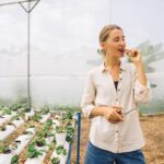 Benefits of Vertical Farming – Greenhouse Automation Systems