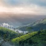 India's Varied Climate: Boosting Agriculture and Tourism